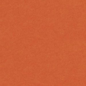 Loper/tapijt oranje met protectiefolie 1mtr breed p/mtr (bestelartikel)