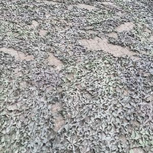Camouflagenet 6,7x3,3mtr.