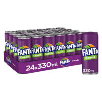 Fanta Cassis (24x33cl blikjes)