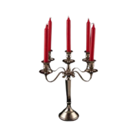 Kandelaar 5 armen 40cm