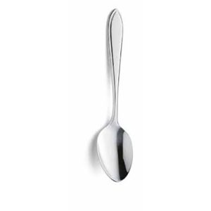 Serveerlepel 25cm