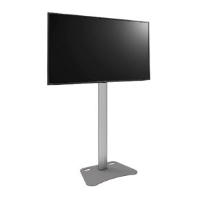 Beeldscherm 65" inclusief statief