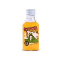 Opkickertje - Opkickertje Orange 10%ALC (10 x 2cl)