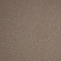 Loper/tapijt donker taupe met protectiefolie 4mtr breed p/mtr (bestelartikel)