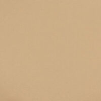 Loper/tapijt zandkleurig met protectiefolie 4mtr breed p/mtr (bestelartikel)