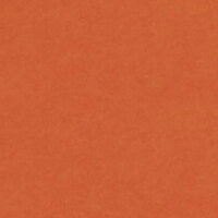 Loper/tapijt oranje met protectiefolie 4mtr breed p/mtr (bestelartikel)