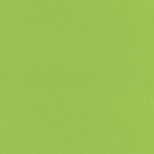 Loper/tapijt geel groen met protectiefolie 1mtr breed p/mtr (bestelartikel)