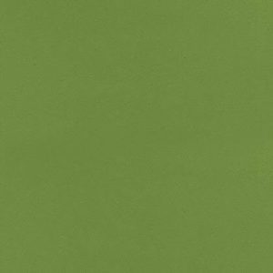 Loper/tapijt woud groen met protectiefolie 1mtr breed p/mtr (bestelartikel)
