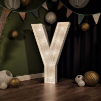 Lichtletter Y