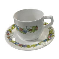 Melamine Spring kop en schotel