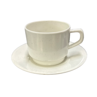 Melamine wit kop en schotel